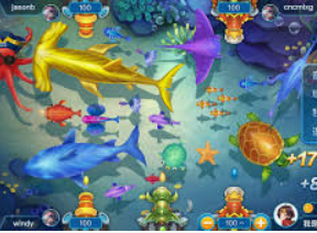 新kiyaun网页版登录手机版